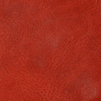 L8062-05
