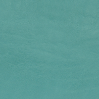L8129-S11