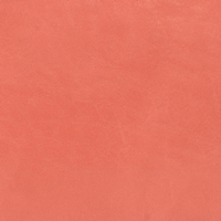 L8129-S32