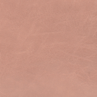 L8129-S74