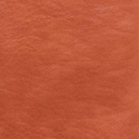 L8166-19