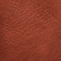 L8166-20