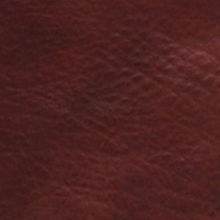 L8166-75
