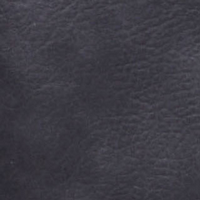 L8166-98