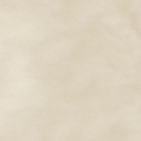 L8180-01