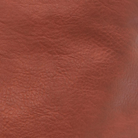 L8190-20