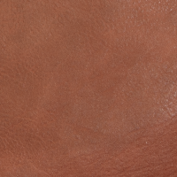 L8191-20