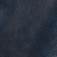 L8195-07