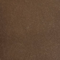 L8198-02