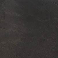 L8203-00