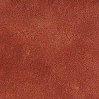 L8205-20