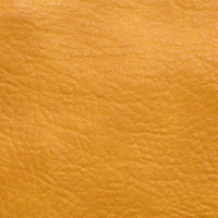 L8254-166