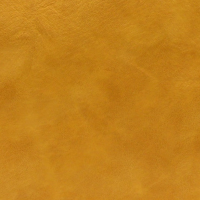 L8255-166