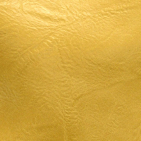 L8258-016