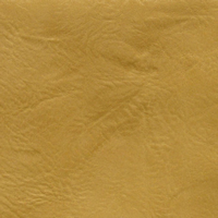 L8259-016