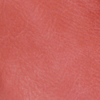 L8267-32