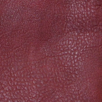 L8292-75