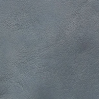 L8296-06