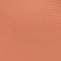 L8319-19