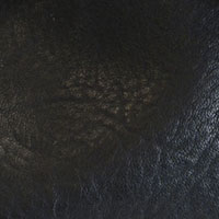 L8361-00