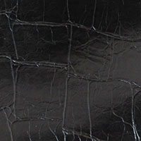 L8366-00