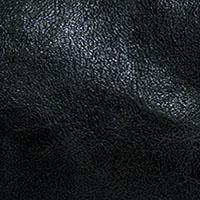 L8381-00