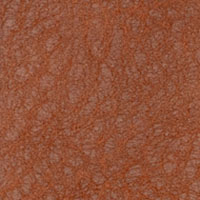 NB003-79M